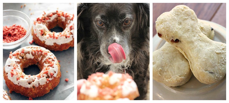 Soft on Joints, Big on Flavor: CBD-infused Treats for Active Dogs