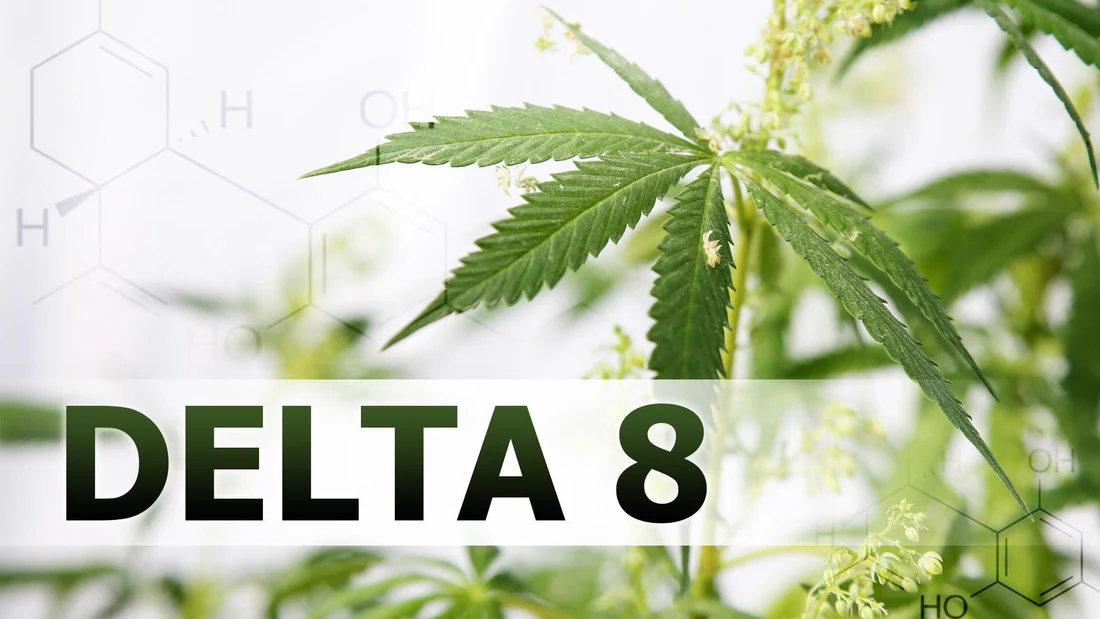 Are there any risks associated with consuming Delta 8 THC or THCP?